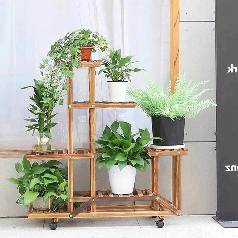 Wooden plant stand with various potted plants against a light background