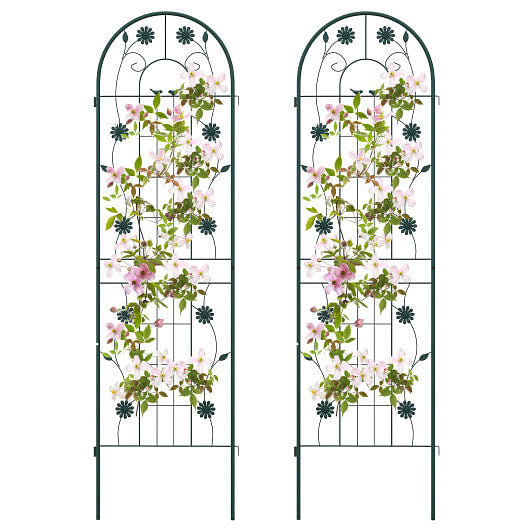 Two metal garden trellises with floral climbing plants on a white background
