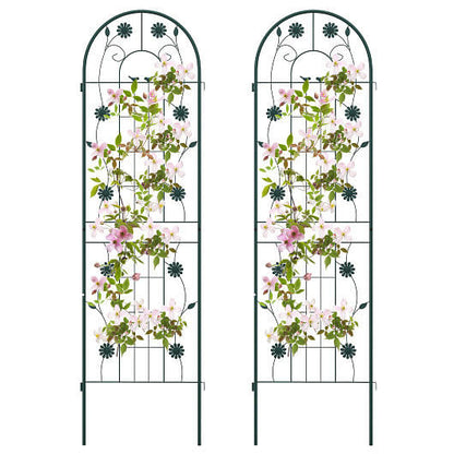 Two metal garden trellises with floral climbing plants on a white background