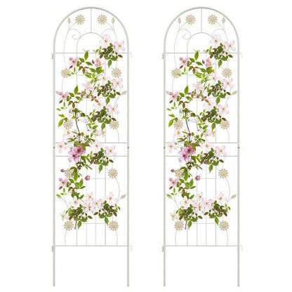 Two floral trellises with greenery and pink flowers on a white background
