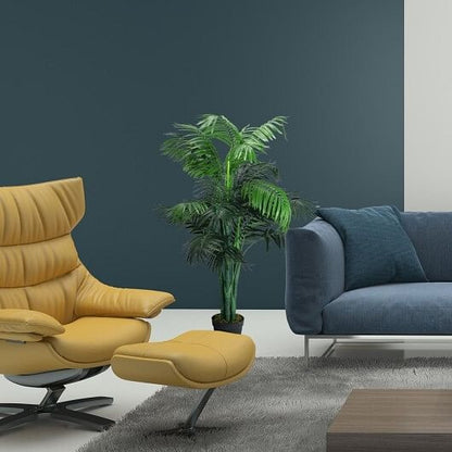 Modern living room with yellow armchair, blue sofa, and potted plant against a dark gray wall.