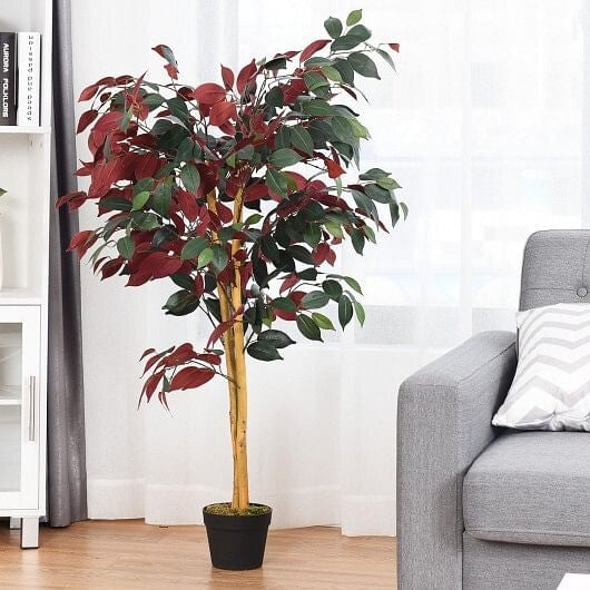 Potted plant with red and green leaves in a living room setting