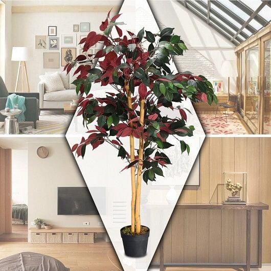 Collage of a decorative plant in a pot with a modern interior setting.