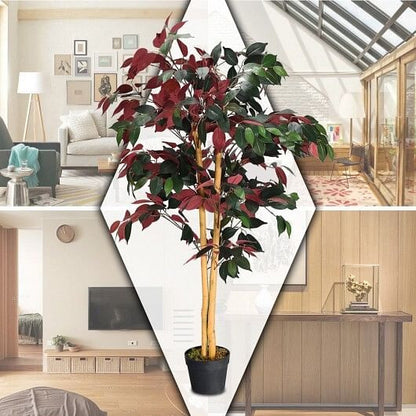 Collage of a decorative plant in a pot with a modern interior setting.
