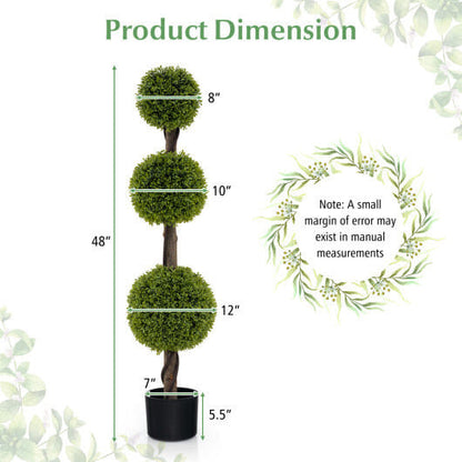 Measurement chart of a topiary plant with labeled dimensions on a white background.