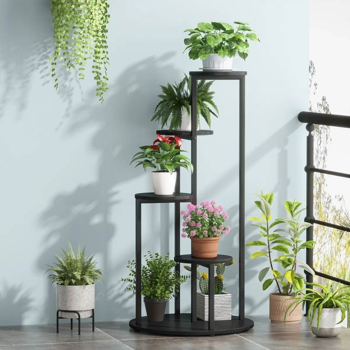 Black metal plant stand with various potted plants against a light blue wall.