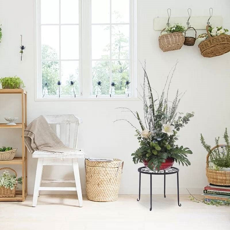 Indoor setting with plants, a chair, and a window in a bright room.